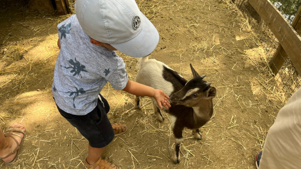 Les petits fermiers