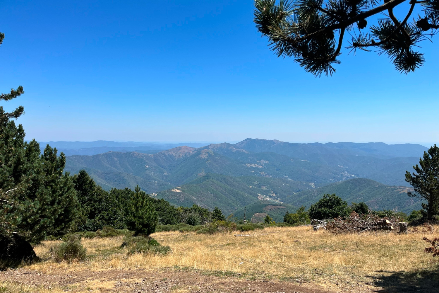Sur les traces du mouflon - quand il fait chaud