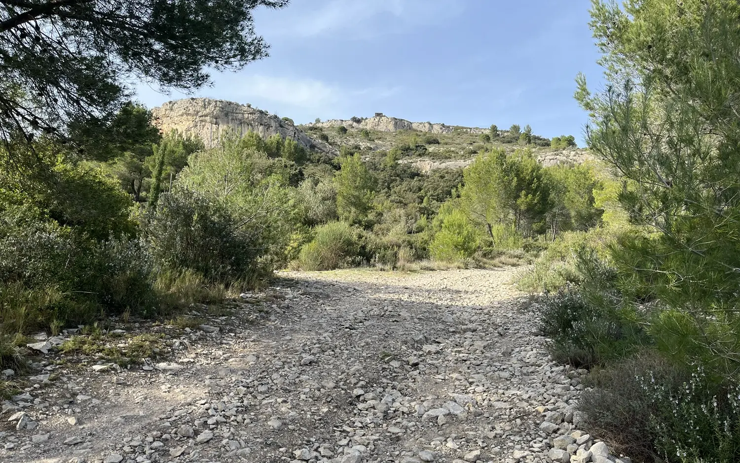 Falaises du Puech des Mourgues — 4