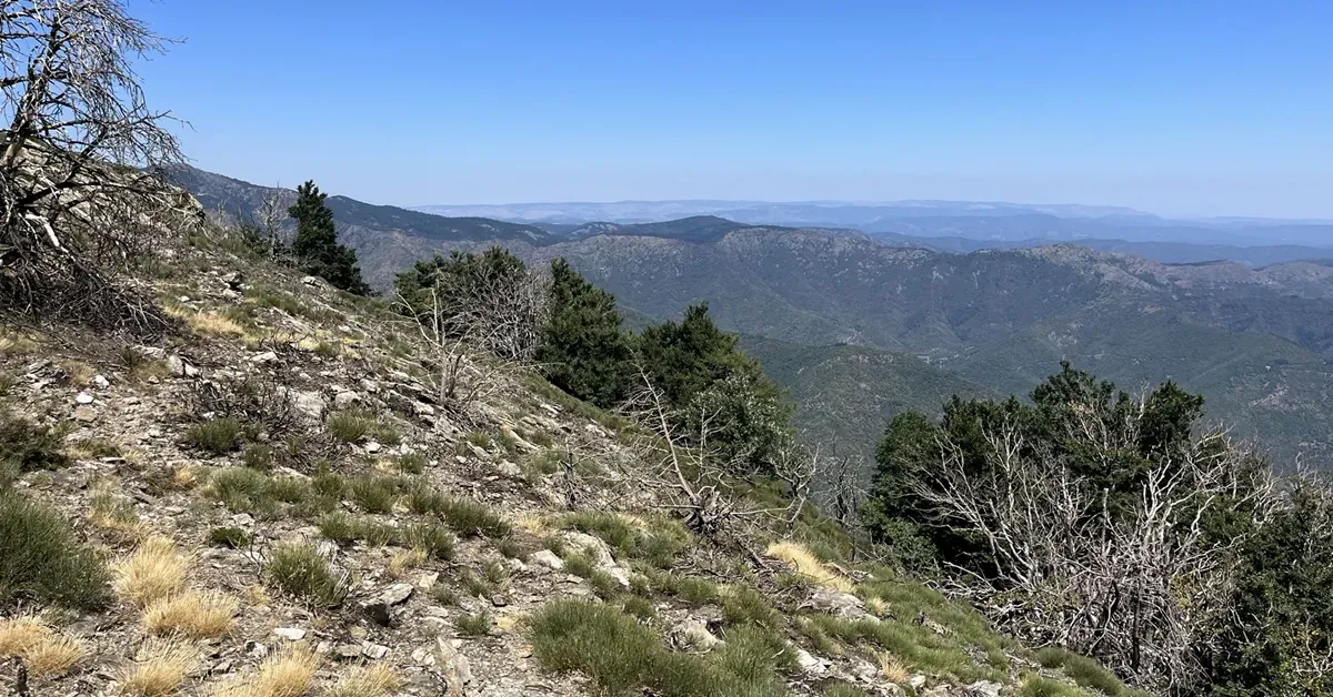 Sur les traces du mouflon - quand il fait chaud — 4