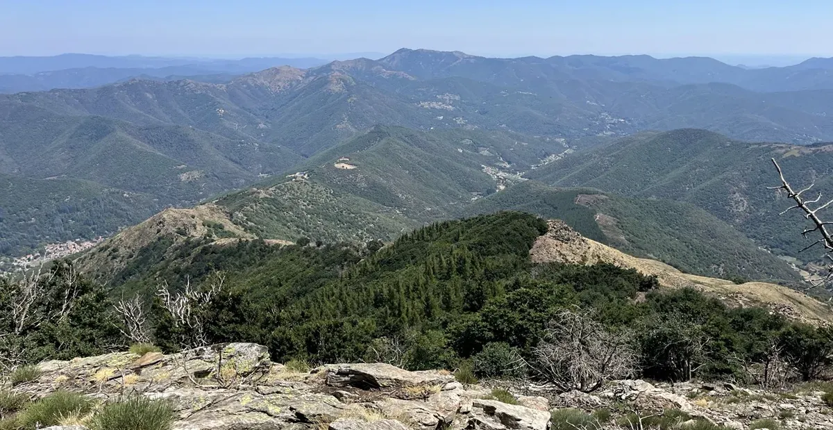 Sur les traces du mouflon - quand il fait chaud — 5