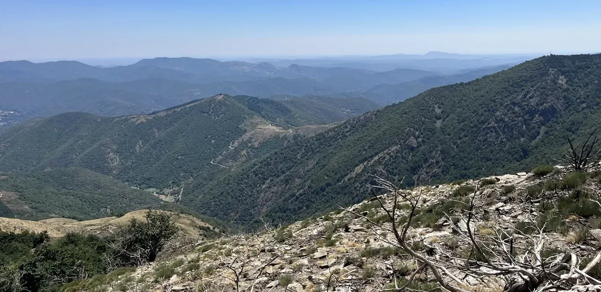 Sur les traces du mouflon - quand il fait chaud — 7